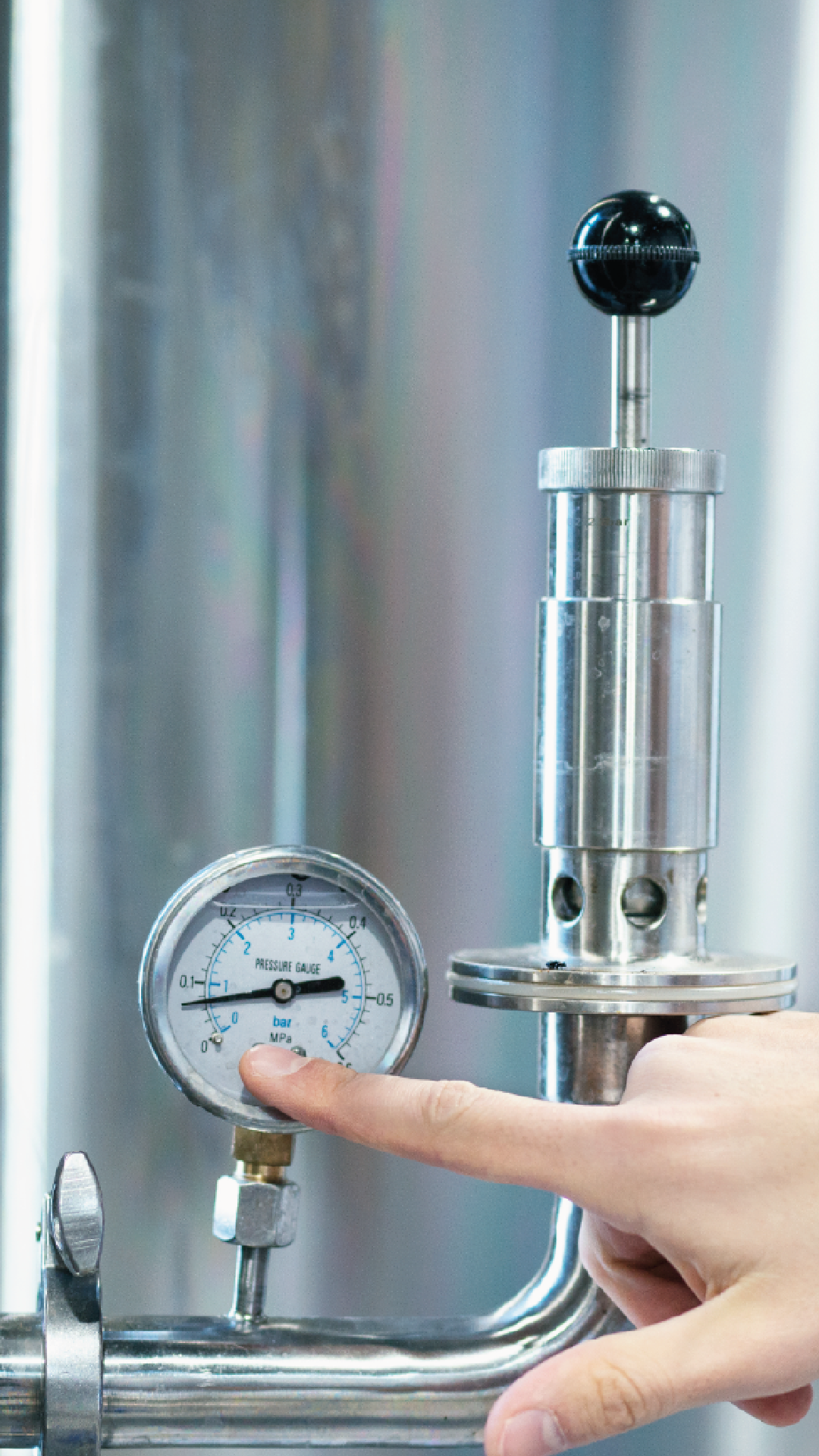 industrial backflow prevention